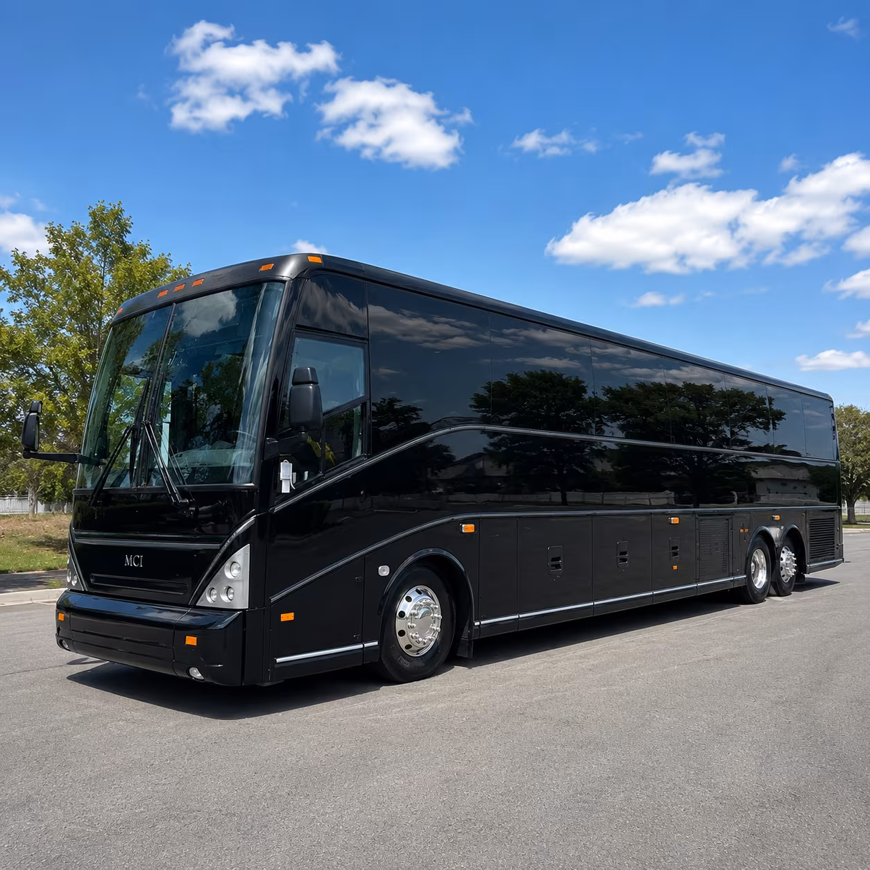 charter buses and minibuses for jacksonville zoo field trips